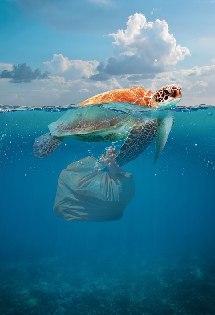 environmental, disaster, pollution-4386105.jpg