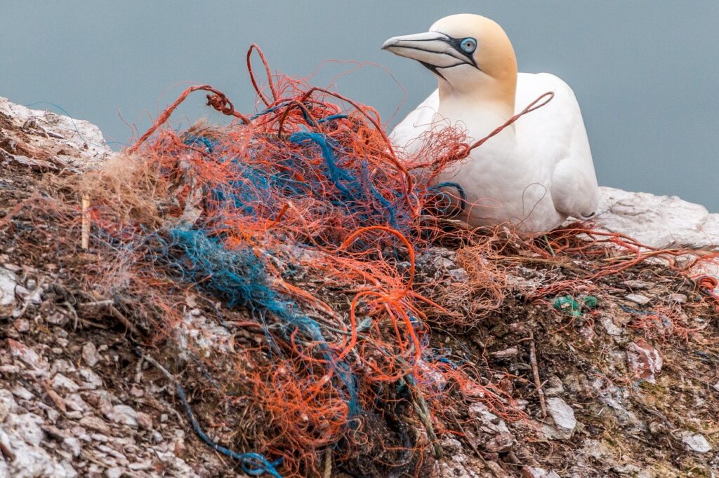 safety net, spirit network, plastic waste-3289548.jpg