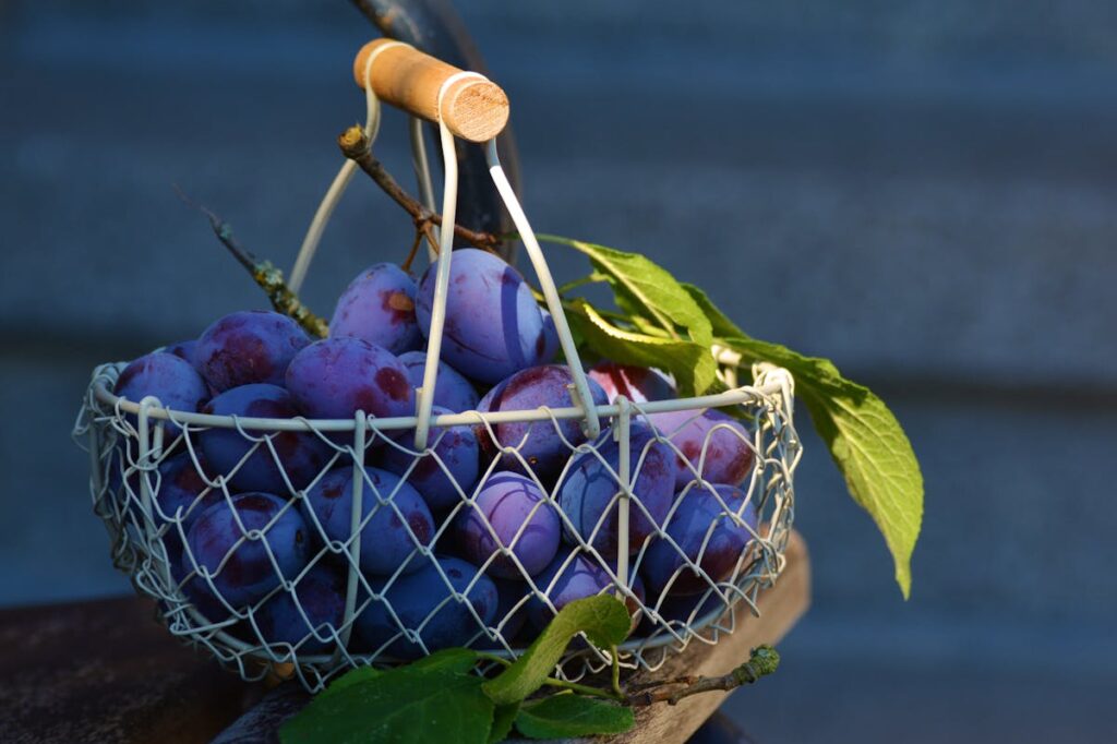 plums-fruit-fruit-basket-blue-169579-169579.jpg